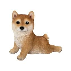 H20181 [ストレッチ柴犬]