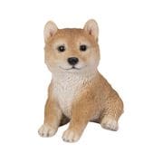 H19285 [お座り柴犬 （小）]