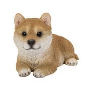 H21413 [リラックス 子柴犬]