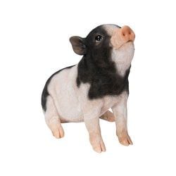 H21021-6 [見上げるお座り黒白桃豚]