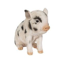 H12254-5 [お座りスポット豚]