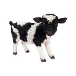 H20146 [右向きに立つ黒白牛]