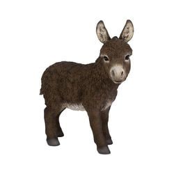 H12267-2 [立っている黒茶色の子ロバ]