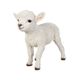 H23200 [歩く羊]