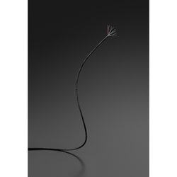 TOP WING Ultra Slim LinkオーディオグレードLANケーブル Ultra Slim Link | TOP WING Cybersound Group