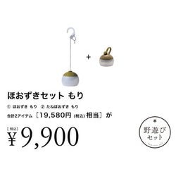 ほおずきセット もり FK-363