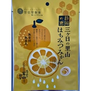 三ケ日の里山蜂蜜みかん 70g