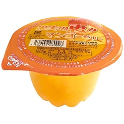 果実の恵み マンゴー 250g