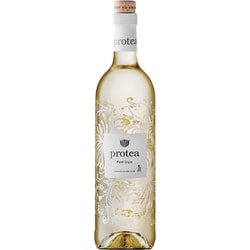 アントニー ルパート プロテア ピノ・グリージョ 750ml 南アフリカ/西ケープ州 [白ワイン]