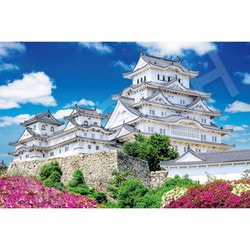 11-618s 日本風景 姫路城 新緑の頃（兵庫） [ジグソーパズル 1000ピース]