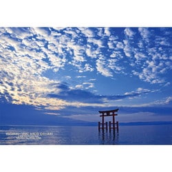 300-438 シリーズ・日本の都市82 滋賀県高島市「琵琶湖 白髭神社 湖中大鳥居」 [ジグソーパズル 300ピース]
