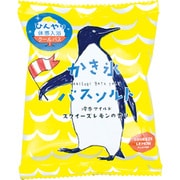 限定 かき氷バスソルト スクイーズレモンの香り(YE)