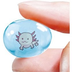ヨドバシ.com - クツワ 限定 のってんの ぷにぷにたまご PT213C
