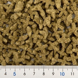 ハイペット　でぐーのきわみ　300g×５袋セット　試供品プレゼントサービス付き♪ | ハイペット 恵 デグー 300g 300グラム (x 1) | ハイペット