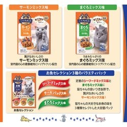 箱バラして発送します！キャットフード  おまとめ売り 計21箱 日本ペットフード コンボ ピュア キャット パウチ とろ旨だし