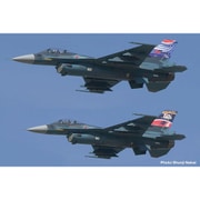 PF-86 1/144 航空自衛隊 F-2A 空自創設70周年＆築城基地開設70周年記念塗装機 2機セット [組立式プラスチックモデル]