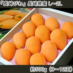 『長崎びわ』長崎県産 L～2L 約500g（9～12玉）化粧箱 風袋込 ※冷蔵 [2025年5月15日（木）決済完了分まで]