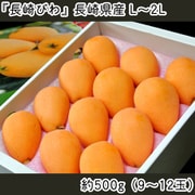 『長崎びわ』長崎県産 L～2L 約500g（9～12玉）化粧箱 風袋込 ※冷蔵 [2025年5月15日（木）決済完了分まで]