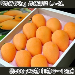 『長崎びわ』長崎県産 L～2L 約500g×2箱 （1箱：9～12玉）化粧箱 ※冷蔵 [2025年5月15日（木）決済完了分まで]