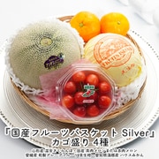 【母の日ギフト】『国産フルーツバスケット Silver』カゴ盛り 4種 ※常温 カーネーション（造花）・メッセージカード付 [2025年5月2日（金）決済完了分まで]