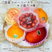 【母の日ギフト】『国産フルーツバスケット Gold』 カゴ盛り 4種 ※常温 カーネーション（造花）・メッセージカード付 [2025年5月2日（金）決済完了分まで]