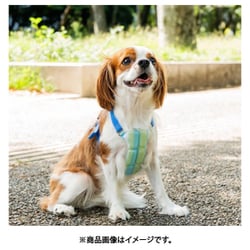 ズーヨークベスト ヨドバシ.com - スオ SUO SUO 256 ICE for dogs クールベスト