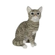 H12321-6 [巻き座りサバトラ猫]