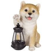 H23251 [ソーラーランプを 持つ柴犬]
