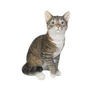 H12321-10 [巻き座りサバトラ猫 （大）]