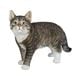 H22079-10 [歩くサバトラ猫 （大）]