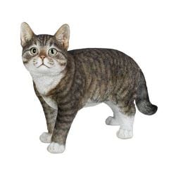 H22079-10 [歩くサバトラ猫 （大）]