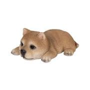 H18409 [うつぶせ柴犬]