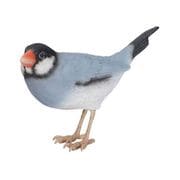H15068-2A [ノーマル文鳥]