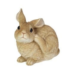 H20138-3 [左足で顔を掻くベージュウサギ]