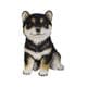 H16039-1-1 [黒柴の子犬 （小）]