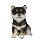 H16039-1-1 [黒柴の子犬 （小）]
