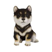 H16580-2 [黒柴の子犬 （中）]