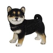 H19309-2 [横向き黒柴犬]