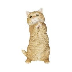 H24033 [おねだり マンチカン]