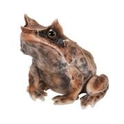 H20222 [ミツヅノコノハガエル （小）]