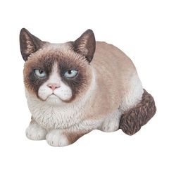 H15112 [不機嫌なシャム猫]