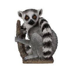 H23332 [キツネザル]