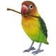 H16372 [クリップ置き 木の枝をくわえる ボタンインコ]