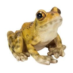 H20202 [クリップ置き ニホンアマガエル]