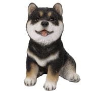 H21415-2 [左向き座り子黒柴犬]