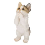 H20485 [おねだり三毛猫 （ミニ）]
