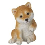 H18474-1 [左手を上げる柴犬]