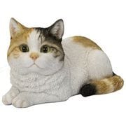 H24178-A-21 [寝そべる三毛猫]