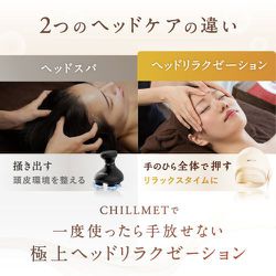 ヨドバシ.com - 日創プラス CHILLMET NIPLUX NP-CM24IV 通販