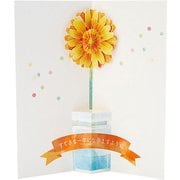 カード 誕生日祝い ガーベラ一輪 749273